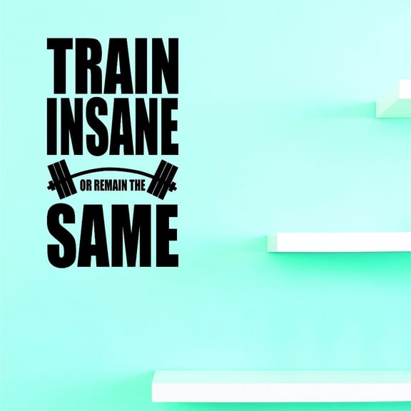 Custom Decals Train Insane Or Remain The Same Wall Art Size: 14 X 28 Inches Color: Black
