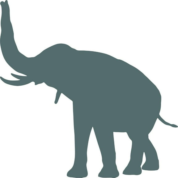 Custom Designs Large Zoo Elephant Ations Ideas 16 X 16 Inches