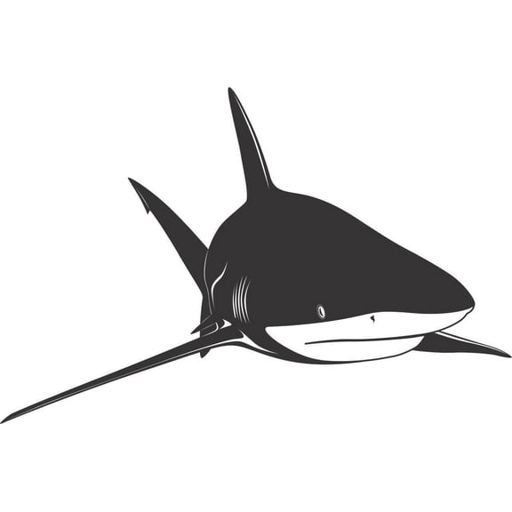 Custom Designs Shark Animal Kids Boys Bed Room 10 X 30 Inches