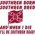 thumbnail image 1 of Custom Designs Southern Born Quotes House 20 X20", 1 of 1