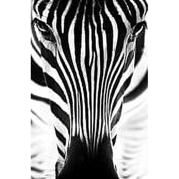 Custom Designs Zebra Kids Boys Bed Room 20 X20"