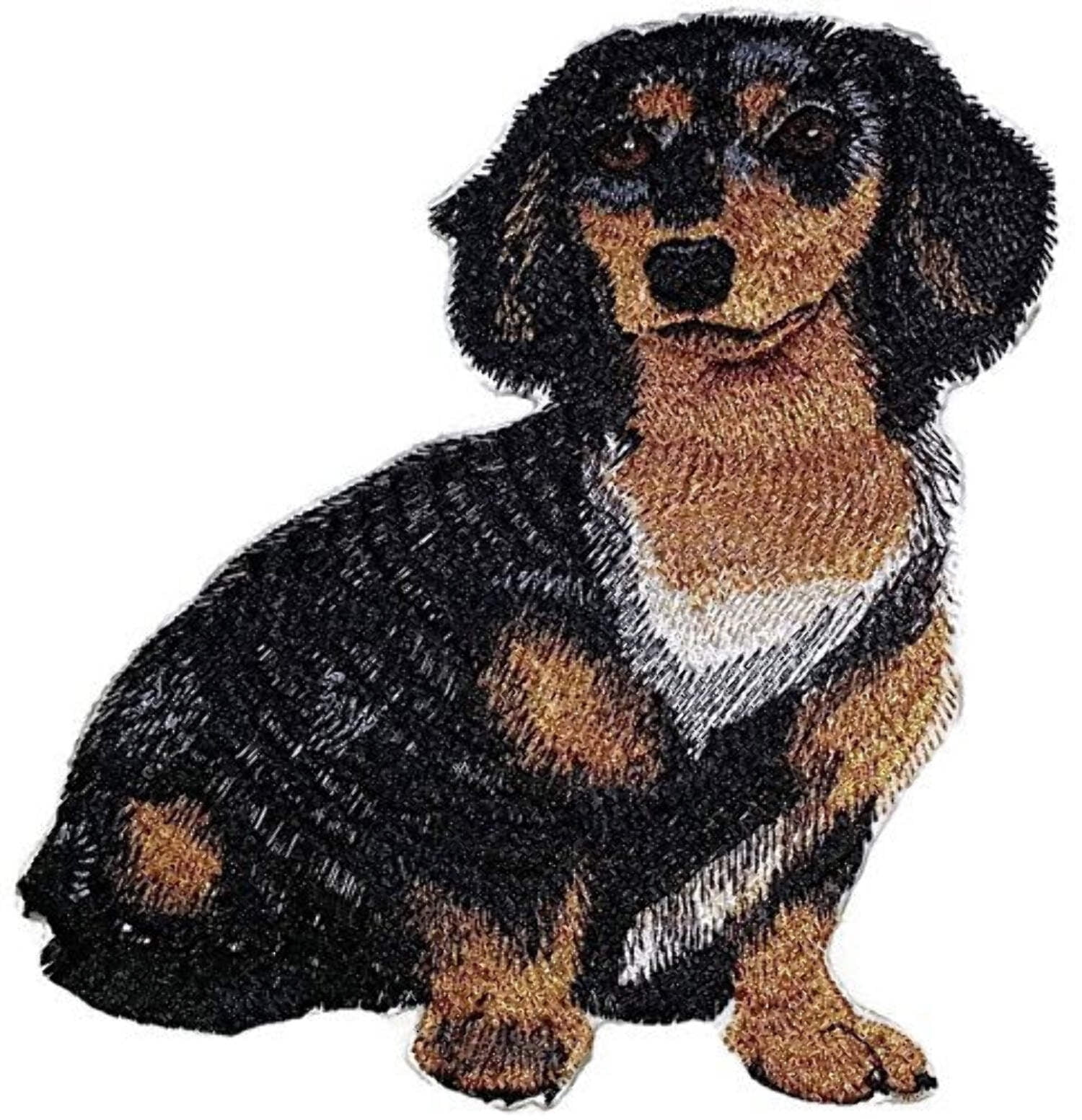Custom Dog Portraits [Dachshund Longhair] Embroidery Iron On/Sew Patch [6" x 5"]
