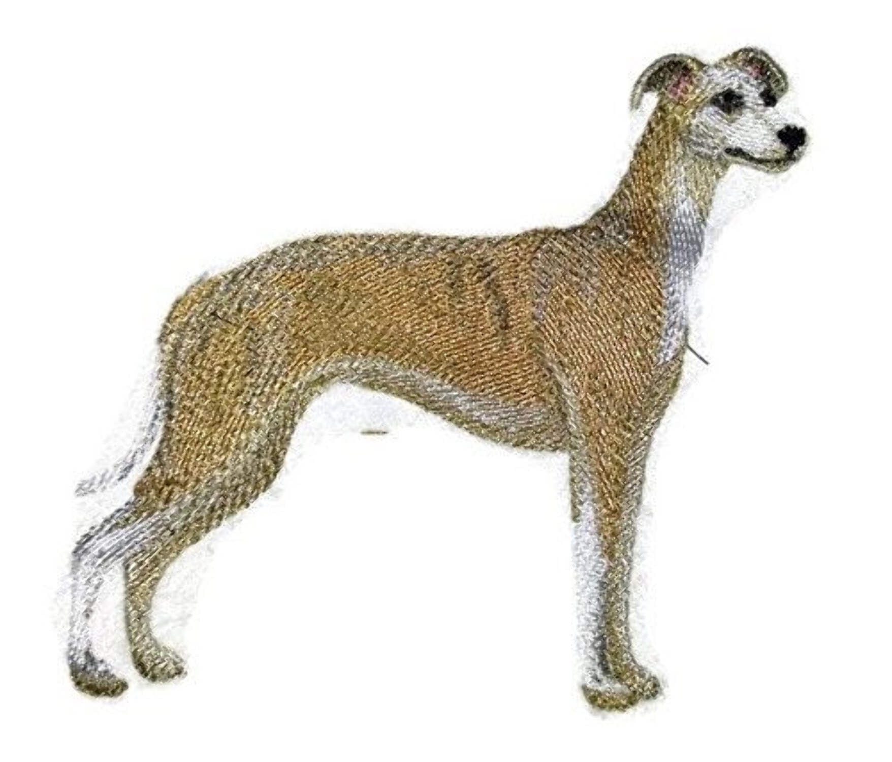 Custom Dog Portraits[Whippet] Embroidered Iron On/Sew Patch [5" x 4]]
