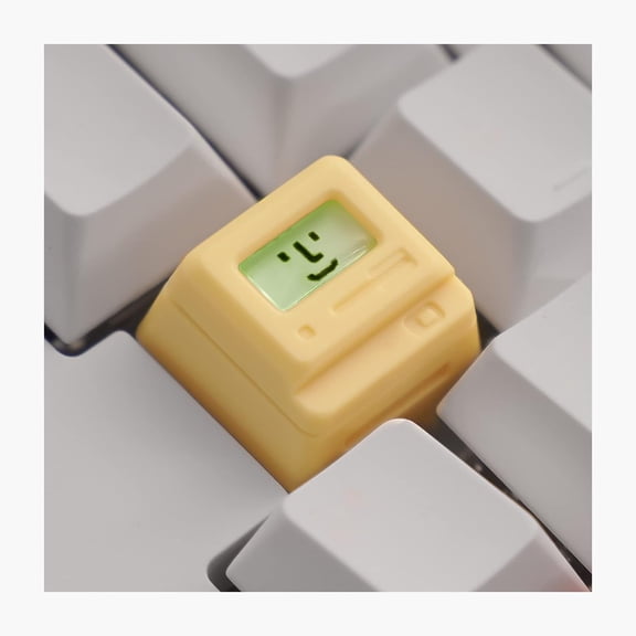 Custom Keycaps - Light Transmission Keycaps - Classic Retro Mechanical Backlit Keyboard Keycap. Suitable for Most MX Switches RGB PC Gamer Mechanical Keyboard