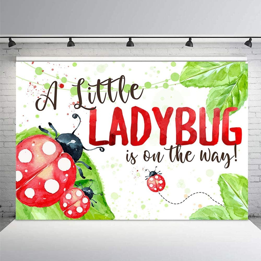 Custom Ladybug Girl Baby Shower Photo Studio Booth Backgrounds Red and ...