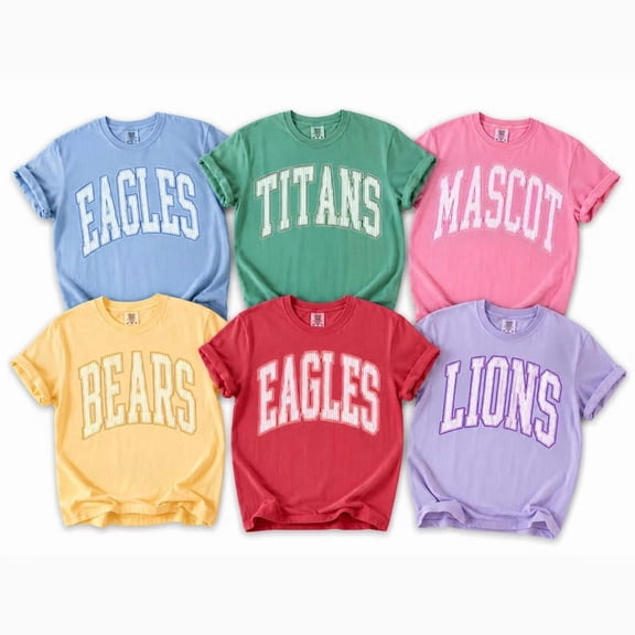 Custom Mascot Shirt, School Spirit Tee, Custom Game Day Shirt, Back To School Gift, School Logo Tee Gift