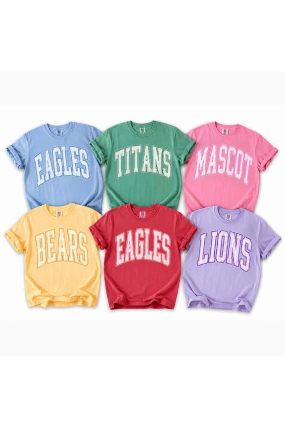 Custom Mascot Shirt, School Spirit Tee, Custom Game Day Shirt, Back To School Gift, School Logo Tee Gift