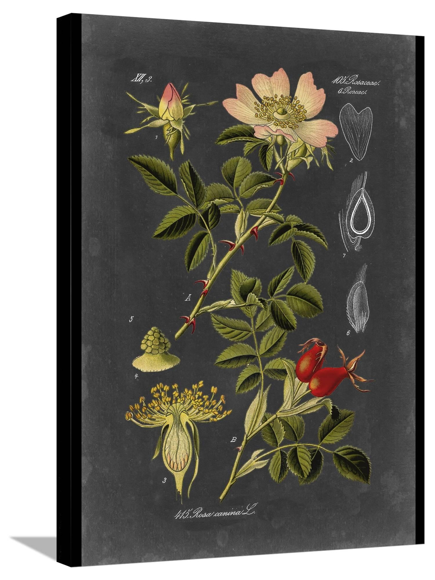 Midnight Botanical I Pink Floral Canvas Wall Art with Black Frame