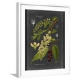 thumbnail image 1 of Art.com Custom Midnight Botanical II (R) Art Print by Vision Studio, White Frame Wall Art, 23" x 29", 1 of 5
