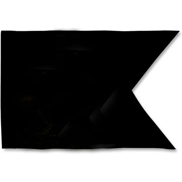 Custom Military Guidon flag US army Guidons Personalize Flags ,3 Ply