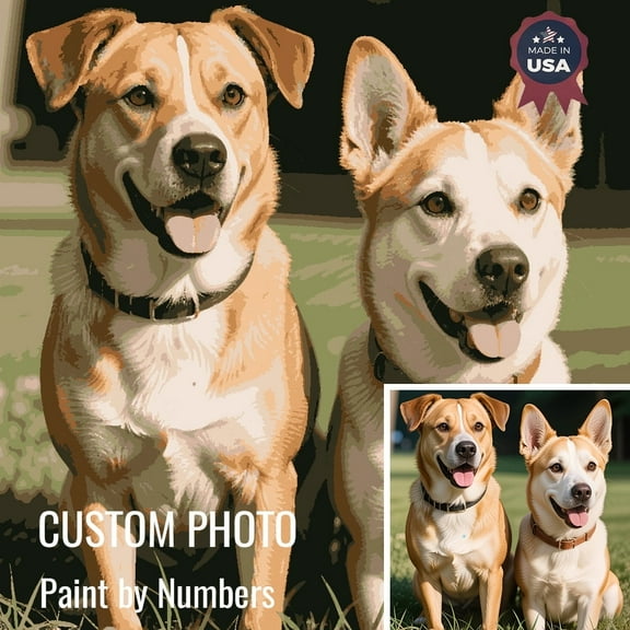 Custom Paint by Numbers Kit for Adults, DIY Acrylic Painting on Canvas, Beginner-Friendly Art Set, Perfect Home Decor & Gift