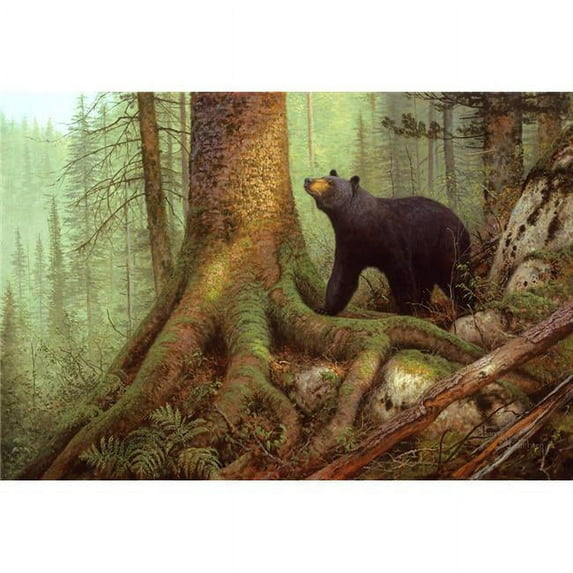 Custom Printed Rugs DM 61 Lambson Bear Awakening Bear