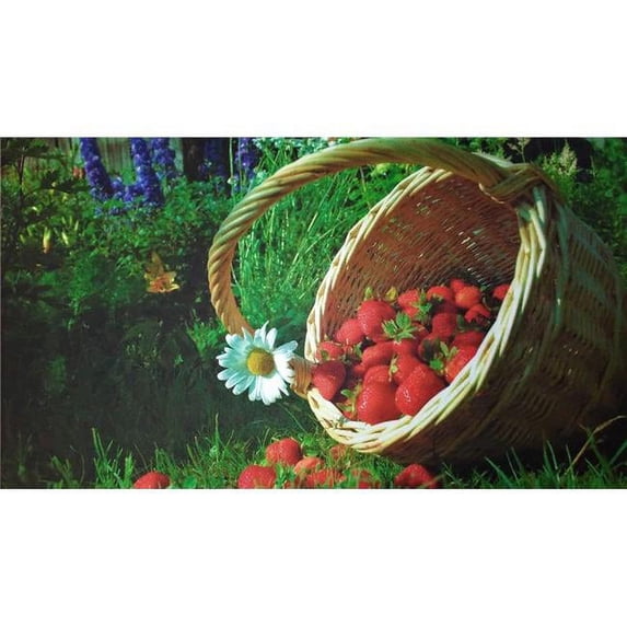 Custom Printed Rugs DM 66 Strawberry Basket Non Slip Indoor Door Mat, 27 x 18 in.
