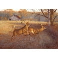 thumbnail image 1 of Custom Printed Rugs Deers Doormat, 18" x 30", Non-Slip, 1 of 1