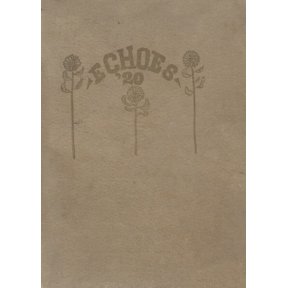 (Custom Reprint) Yearbook: 1920 St Johns High School - Blue Devil Yearbook (Darlington, SC)