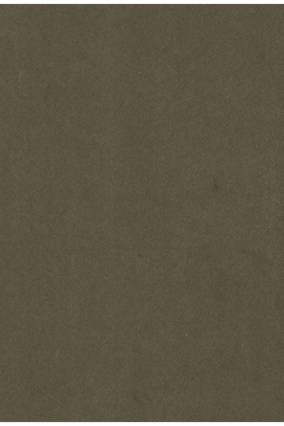 (Custom Reprint) Yearbook: 1924 Modesto High School - Sycamore Yearbook (Modesto, CA)