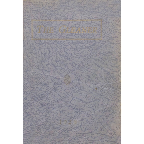 (Custom Reprint) Yearbook: 1928 Reedsburg High School - Gleaner Yearbook (Reedsburg, WI)