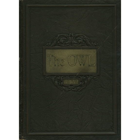 (Custom Reprint) Yearbook: 1929 Ironton High School - Owl Yearbook (Ironton, OH)