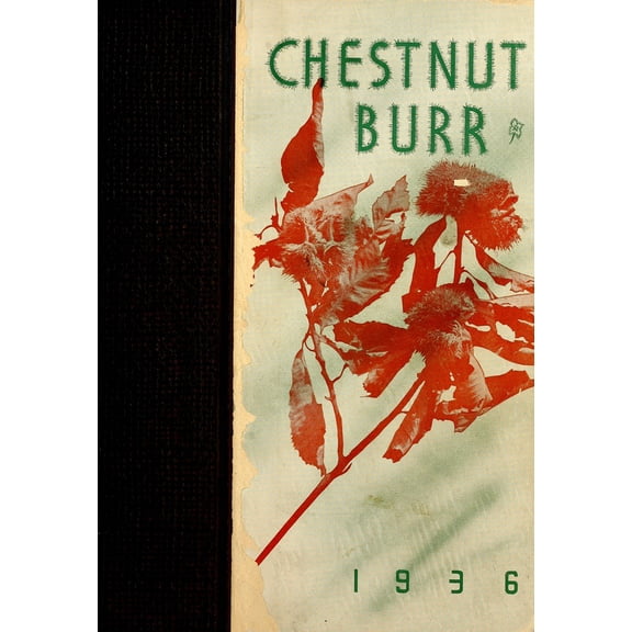(Custom Reprint) Yearbook: 1936 Kent State University - Chestnut Burr Yearbook (Kent, OH)
