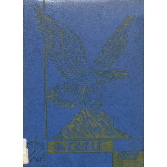 (Custom Reprint) Yearbook 1955 Delavan Darien High School Era