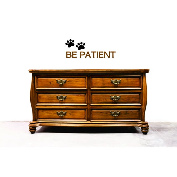 Custom Wall Decal Be Patient Animal Dog Paw Print Picture Art Vinyl Wall Decal 8x20 Inches