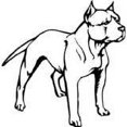thumbnail image 1 of Custom Wall Decal Bull Dog Animal - Kids Boys Bedroom Home Decor Sticker - Vinyl Wall, 1 of 1