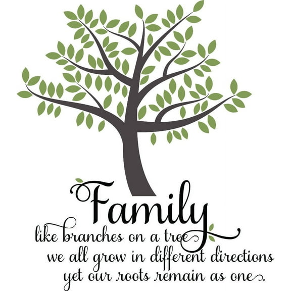 Custom Wall Decal : Family Like Branches On A Tree We All Grow In Different Directions Yet Our Roots Quote 12x18 Inches