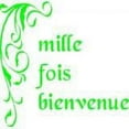 thumbnail image 1 of Custom Wall Decal - 'Mille Fios Bienvenue' Vinyl Letter Quote Sticker - Vinyl Wall, 1 of 1