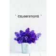 thumbnail image 1 of Custom Wall Decal Sticker - Celebrations Party Fun Gathering Home Decor 6x24", 1 of 1