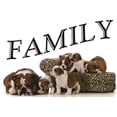 thumbnail image 1 of Custom Wall Decal Sticker : Family Lettering Text Quote 12x30", 1 of 1