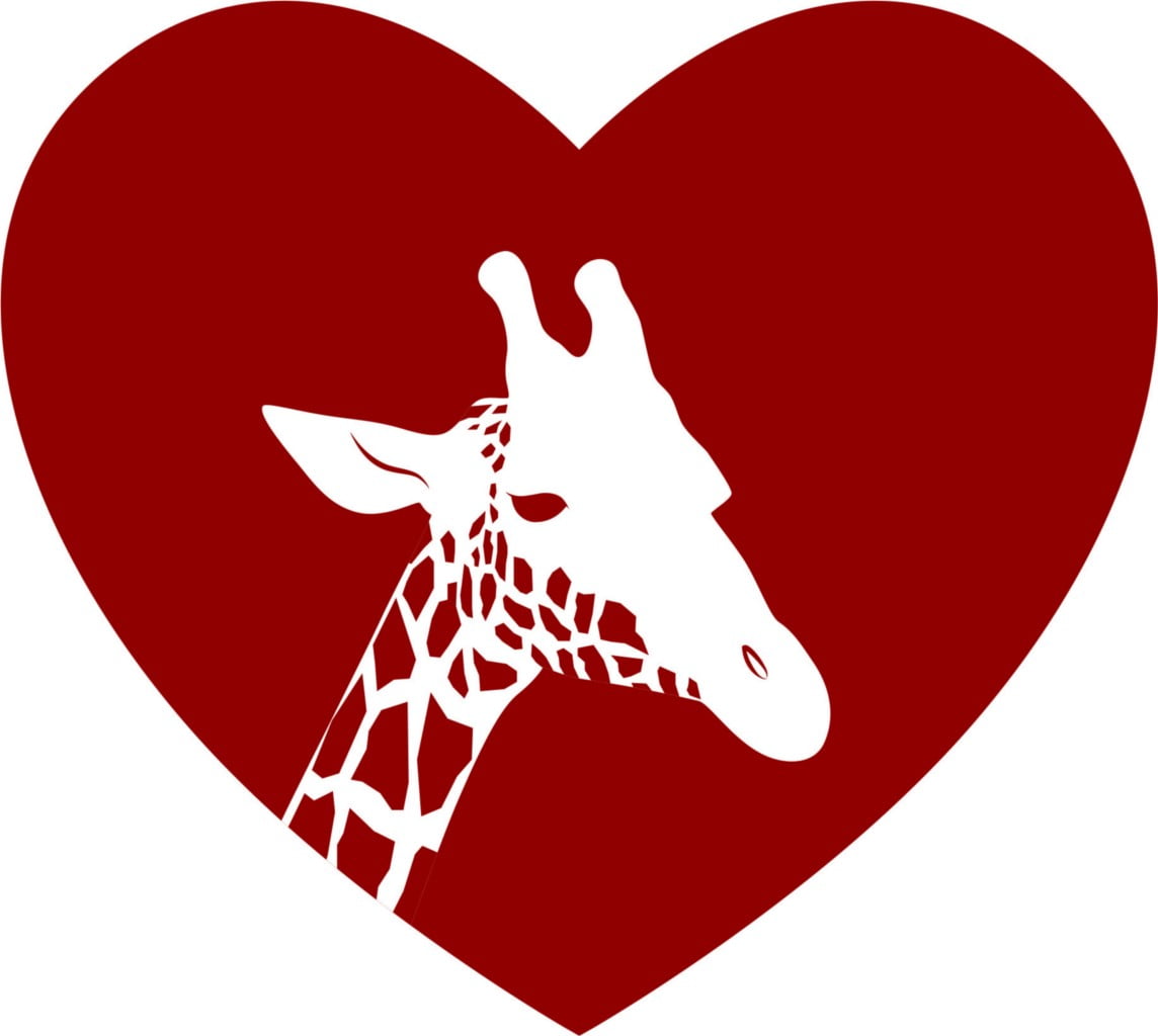 Custom Wall Decal Zebra Heart - Kids Bed Room - - Vinyl Wall Sticker ...