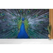 Custom Wallpaper, Bright Wallpaper, Peacock, Blue Wall Poster, 3d Wallpaper, Animal Wallpaper, Modern Wall Poster, Wallpaper (Peel&Stick Paper)