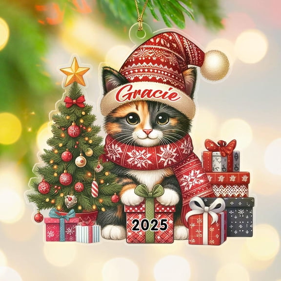 Custom Year & Name Tortoiseshell Cat Lover Ornament Gift for Grandchild Kid Boy Girl, Personalized Tortoiseshell Shaped Xmas Ornament 2025, Cat Owner Christmas Ornaments Gift for Birthday Graduation