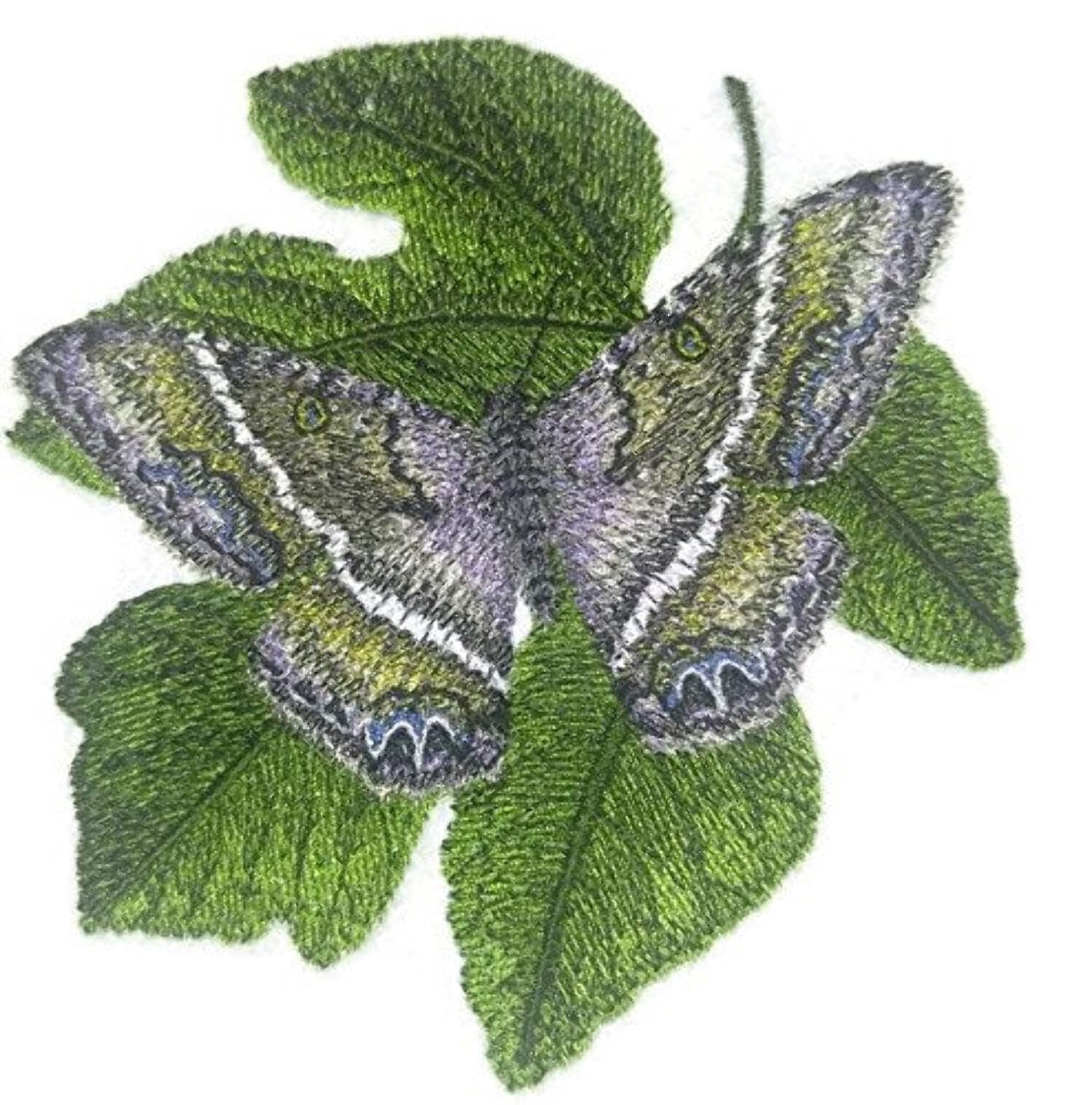 Custom and Unique Colorful Butterflies[Black Witch Moth ] Embroidered Iron On/Sew patch [5" x5"]]