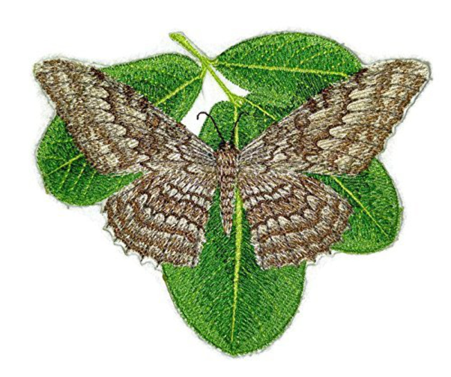 Custom and Unique Colorful Butterflies[White Witch Moth] Embroidered Iron On/Sew patch [5" x 5.8"]