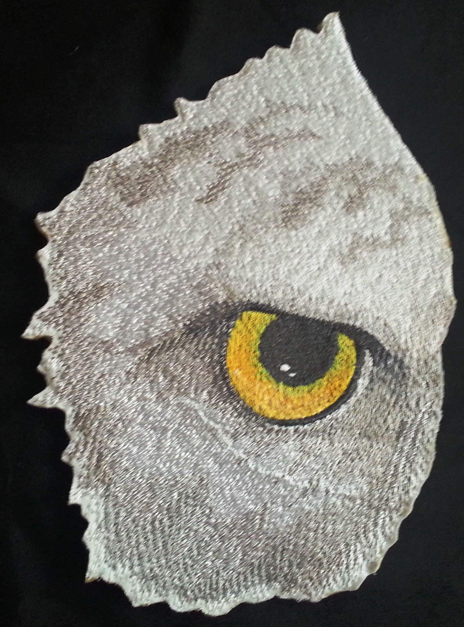 Custom and Unique Eye Of Eagle Embroidered Iron on/Sew patch [6.89"4.85"]