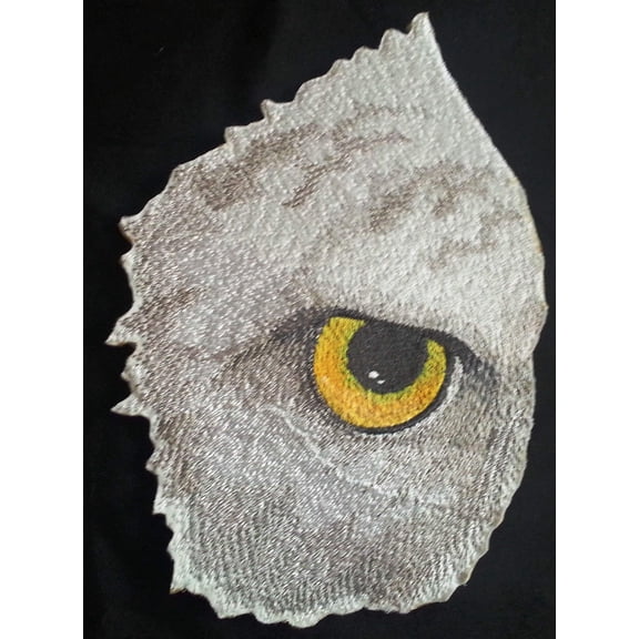 Custom and Unique Eye Of Eagle Embroidered Iron on/Sew patch [6.89"4.85"]