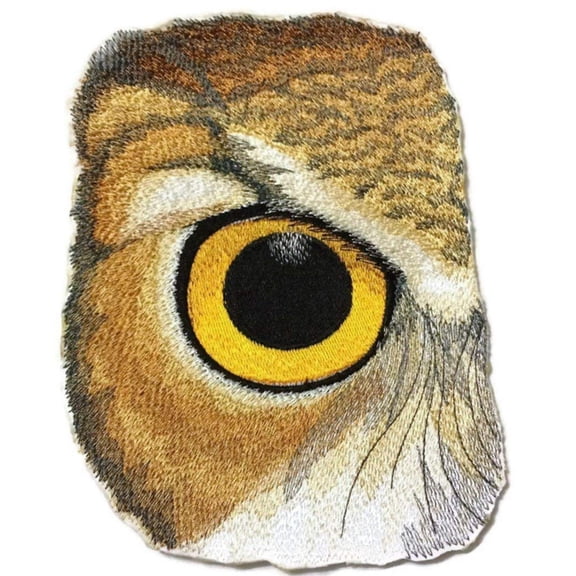 Custom and Unique Eye of Owl Embroidered Iron on/Sew Patch [6.87"4.63"]