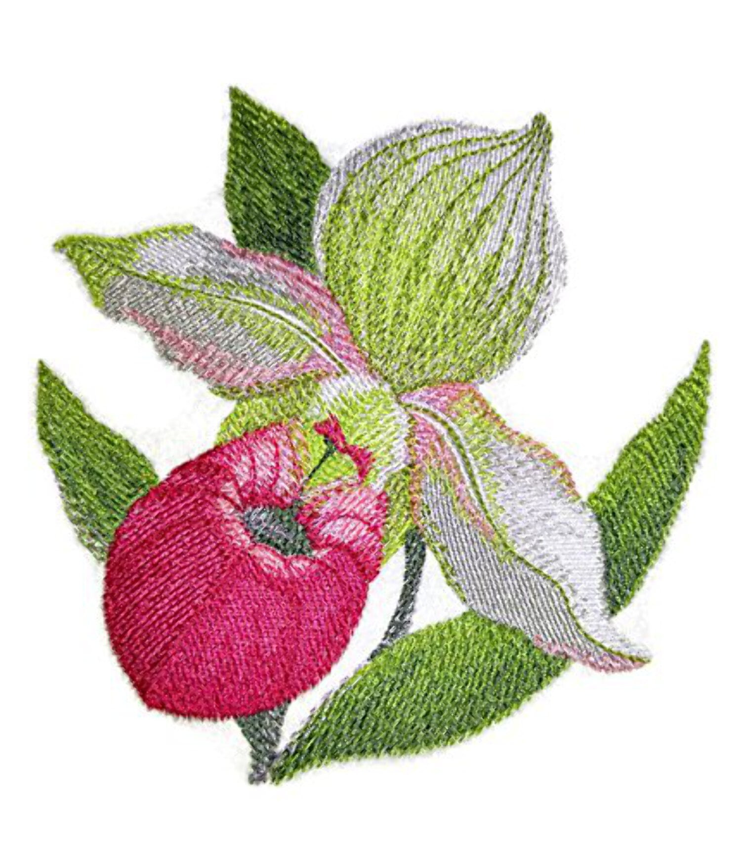 Custom and Unique Water Color Blooms and Butterflies [Watercolor Lady Slipper Bloom] Embroidered Iron on/Sew patch [5.1" 4.89"]