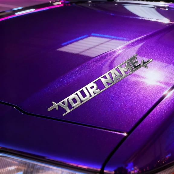 Custom car Stickers, Custom Stainless Steel Fencing Car Stickers, Personalized Name & Text Emblem, Waterproof Metal Decal for Cars, Vans, Boats, Bicycles, Refrigerators, Walls & Doors
