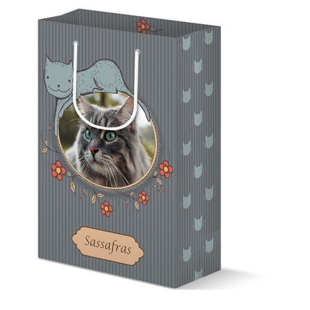 Customizable Gift Bag with Matte Lamination