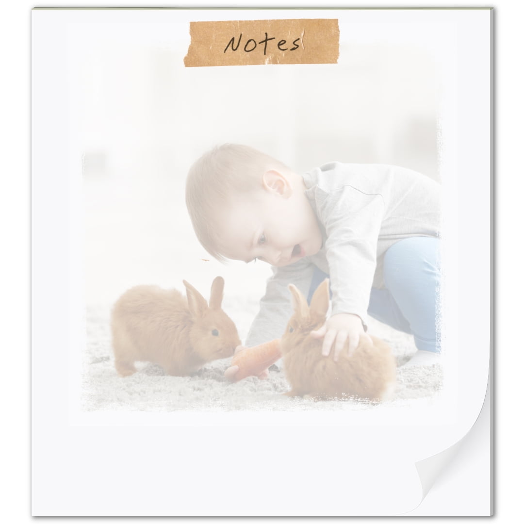 WALMART DIGITAL PHOTO CENTER Customizable Photo Notepad, FSC Certified