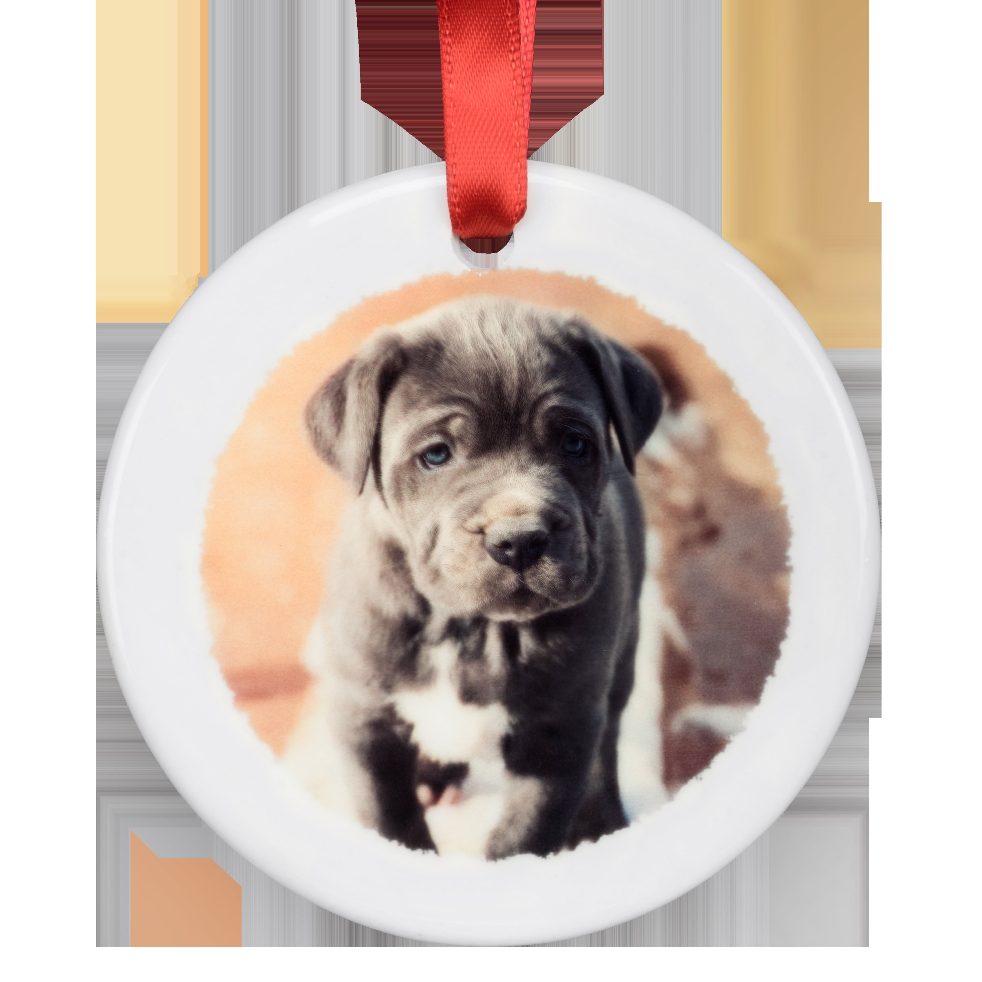 Customizable Photo Ornament, Ceramic Disc