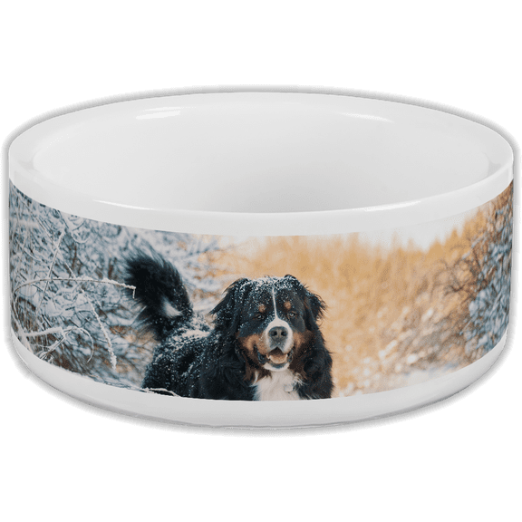 Customizable Photo Pet Bowl, Large 39oz