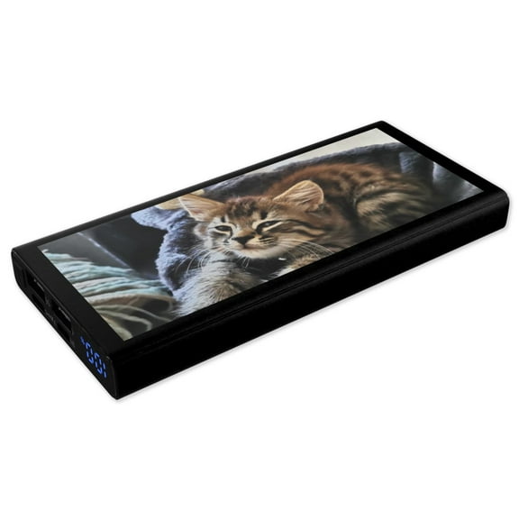 Customizable Power Bank Portable Charger with LCD Display, Dual USB-C, Micro USB, 10000mAh, Black