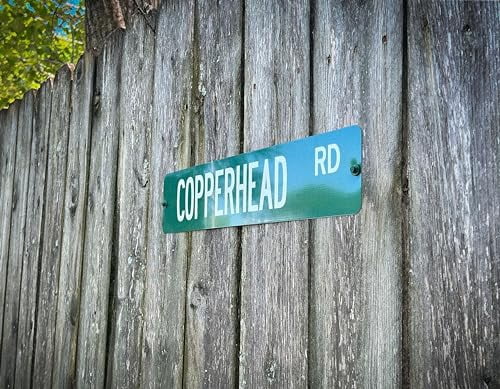 Custom Blue Street Sign - Personalized Aluminum 4x18 Sign For Indoor/Outdoor Use, Made In USA