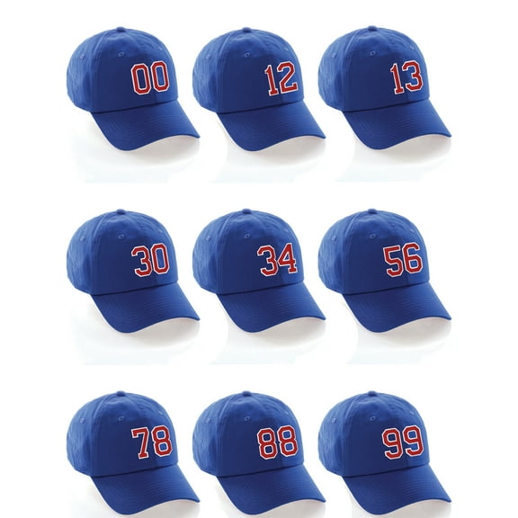 Customized Number Hat 00 to 99 Team Colors Baseball Cap, Blue Hat White Red Custom