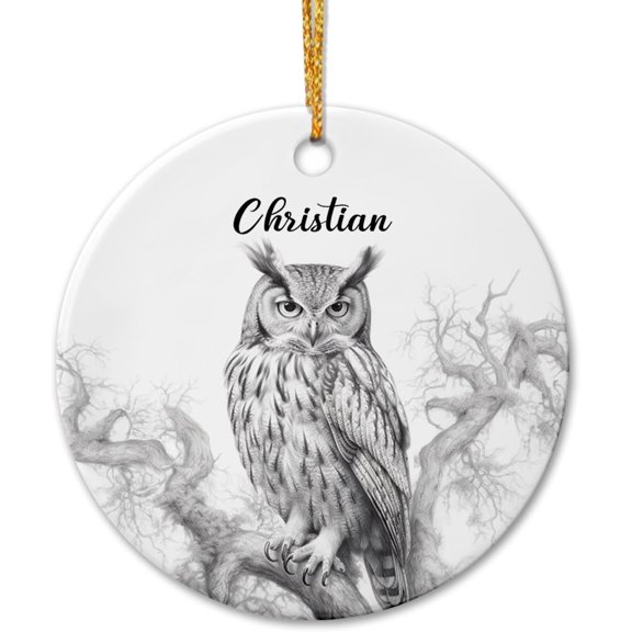Customized Owl Ceramic Ornament Christmas 2025, Pencil Drawing Owl Xmas Ornament, Personalized Name Owl Lover Christmas Ornament, Owl Animal Ceramic Xmas Ornaments Gifts for Son Daughter Animal Lover