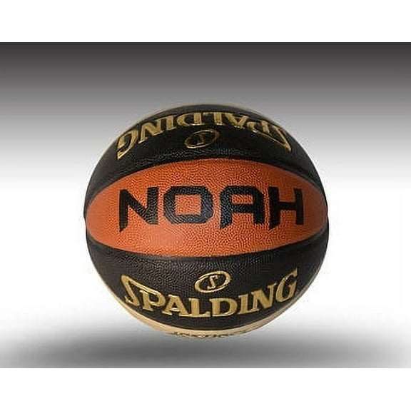 Customized Personalize Spalding Instinct indoor/outdoor basketball 29.5