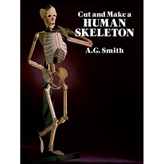 Pre-Owned Cut and Make a Human Skeleton (Paperback) 0486261247 9780486261249
